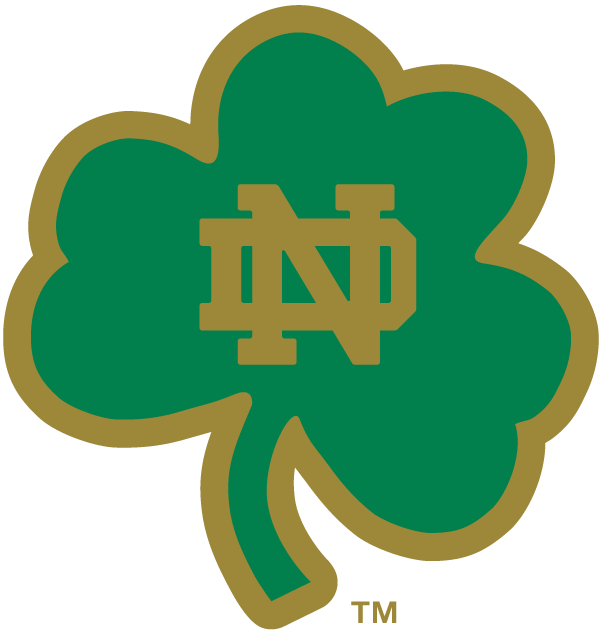 Notre Dame Fighting Irish 1994-Pres Alternate Logo v15 diy iron on heat transfer